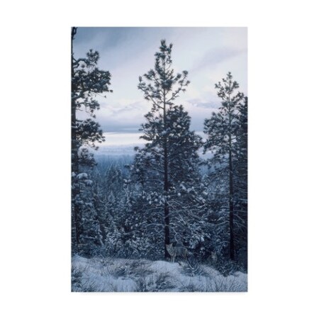 Trademark Fine Art Ron Parker 'Evening Silhouette Coyotes' Canvas Art, 12x19 ALI32423-C1219GG